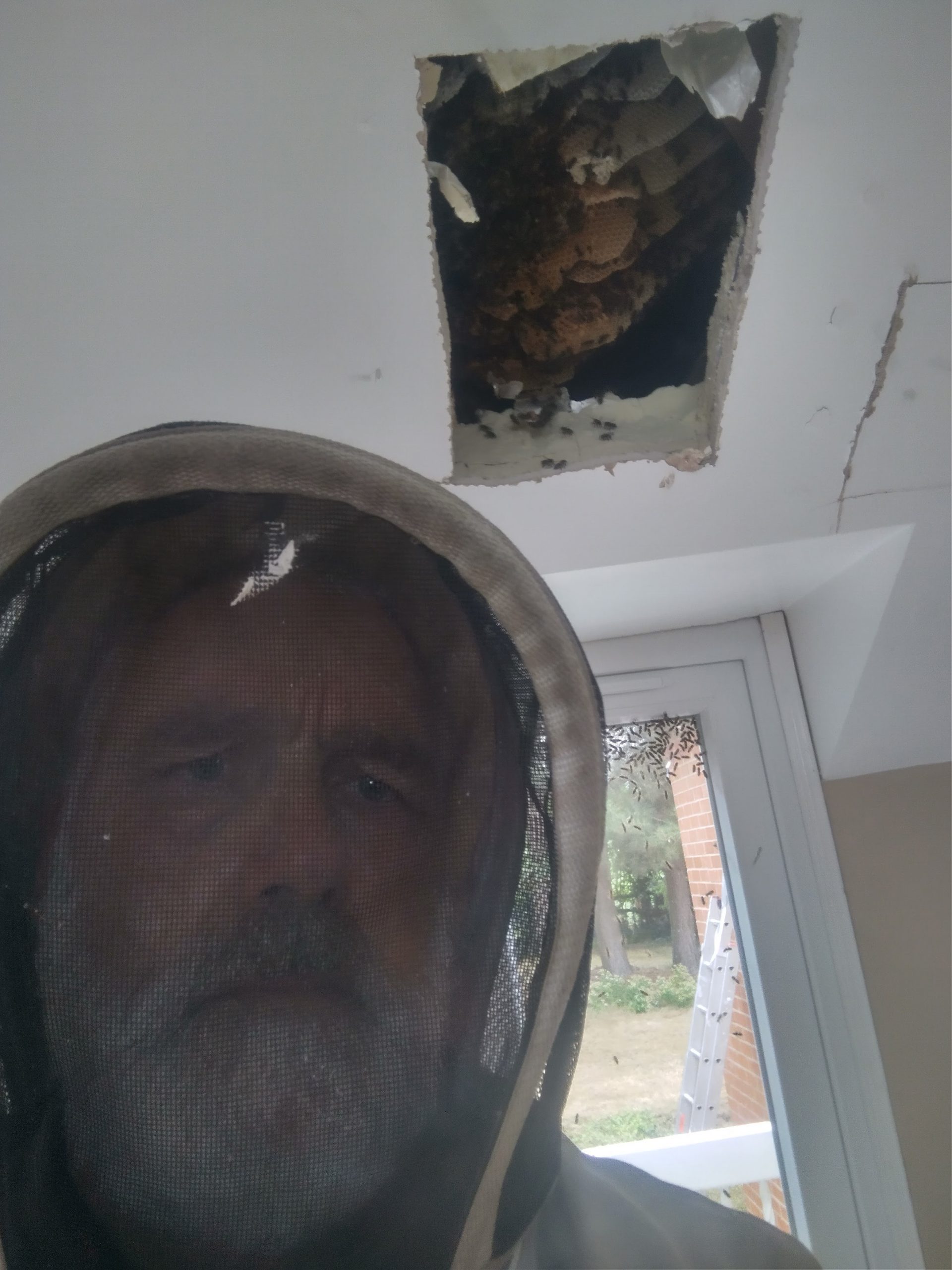 Gallery TJB Pest Control