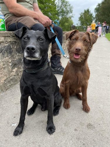 Spud and Piper Bridge